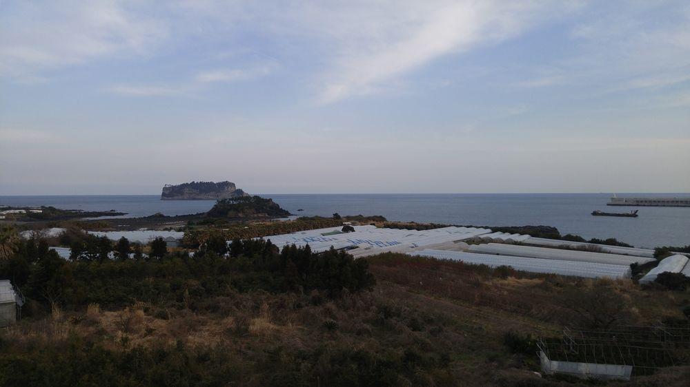 Olleyo Resort Seogwipo Dış mekan fotoğraf