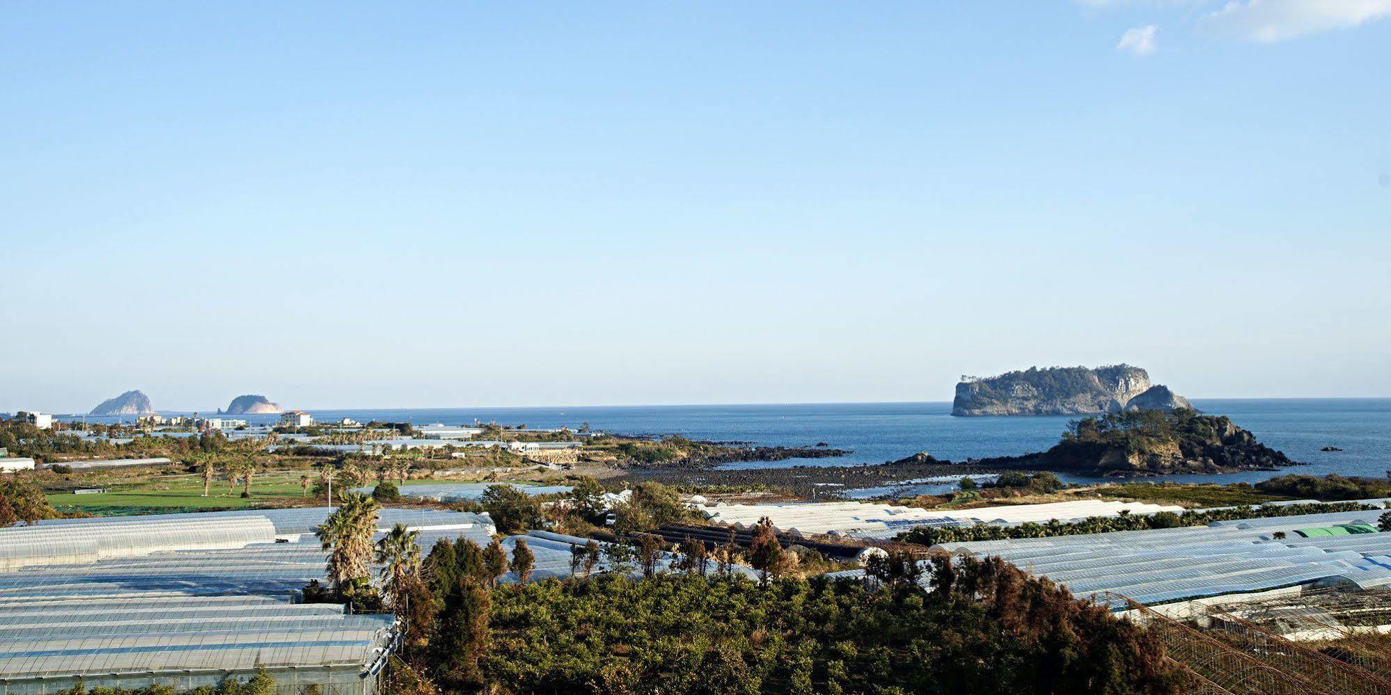 Olleyo Resort Seogwipo Dış mekan fotoğraf